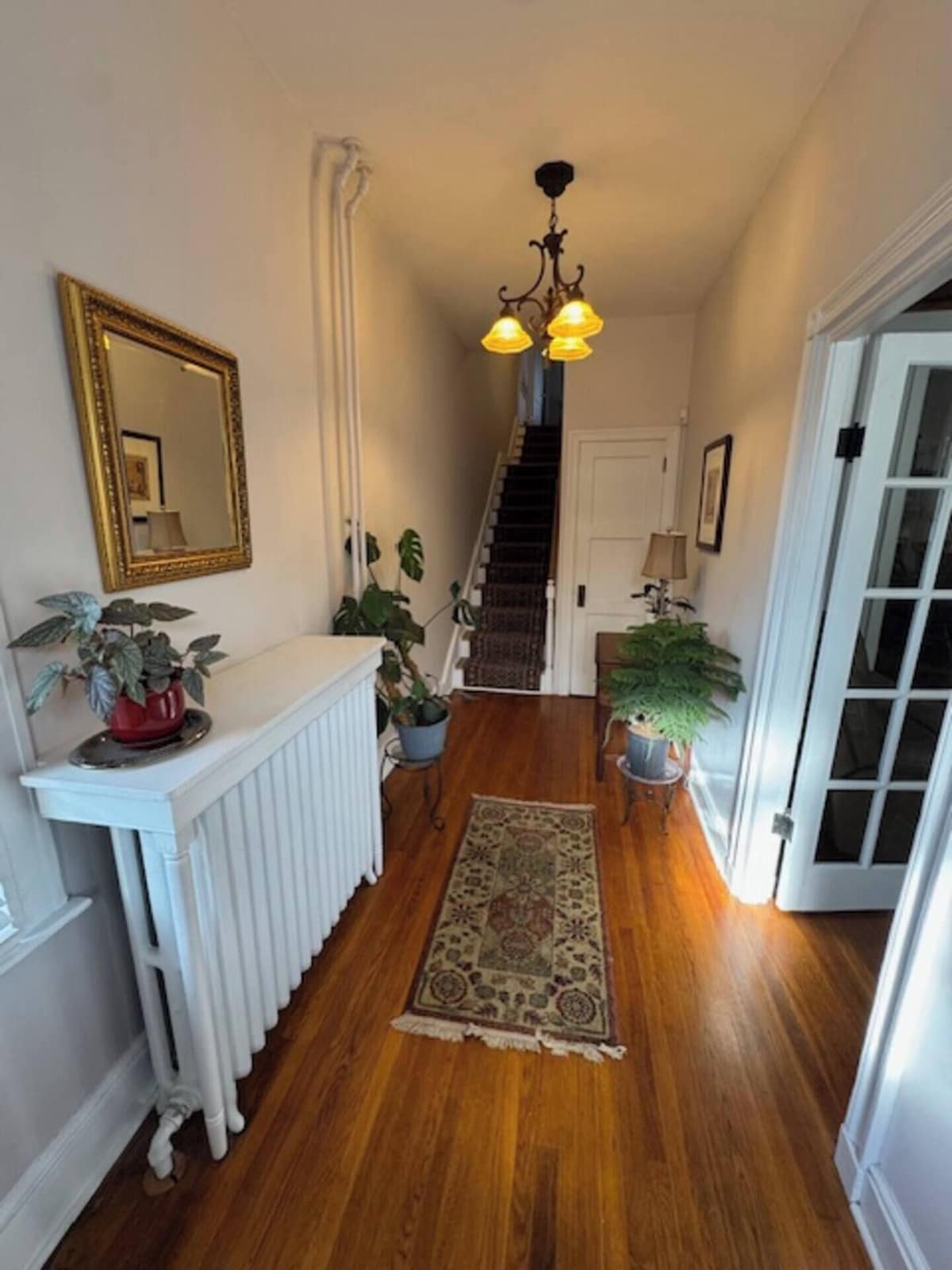 A hallway with a white radiator, a patterned rug, potted plants, a staircase, and a door with glass panels.